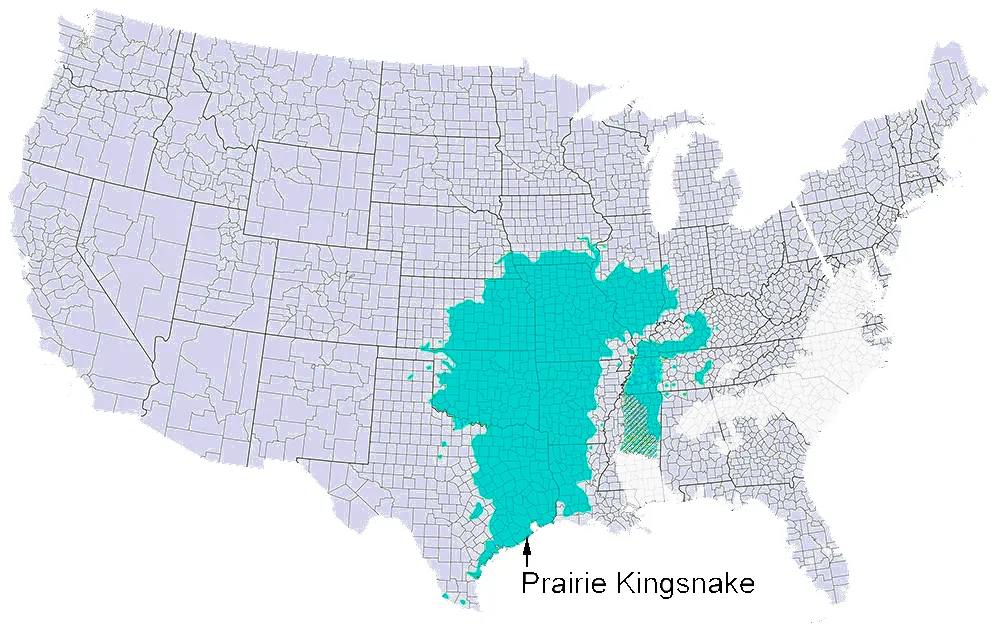 Prairie Kingsnakes_range-map