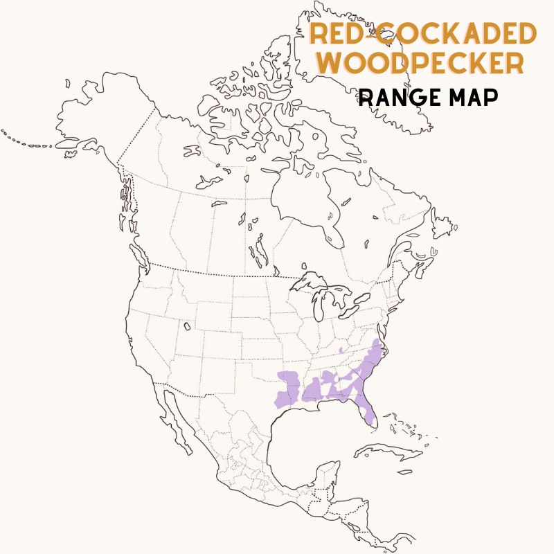 Red-cockaded Woodpecker range map edited