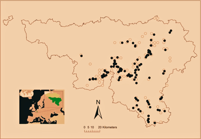 Snakes in Germany: A Comprehensive Guide