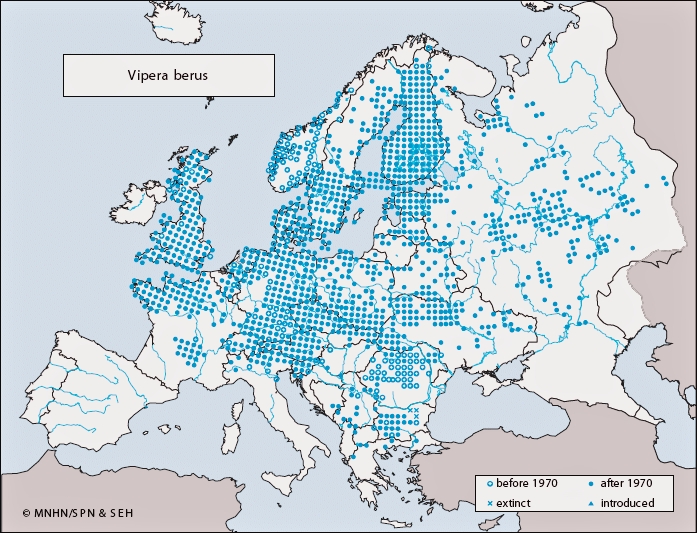 snakes in germany<br />
