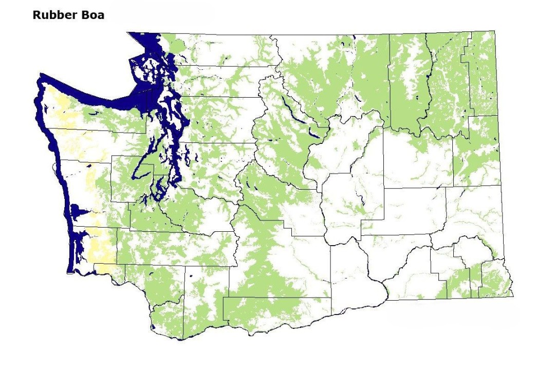 idaho snakes<br />
