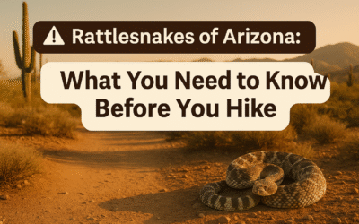 Rattlesnakes of Arizona: What You Need to Know Before You Hike